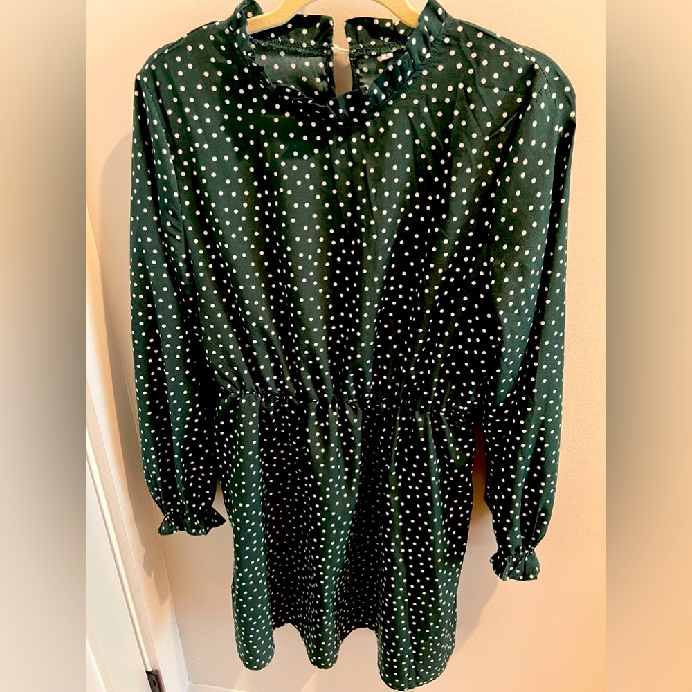 Polk dot green dress